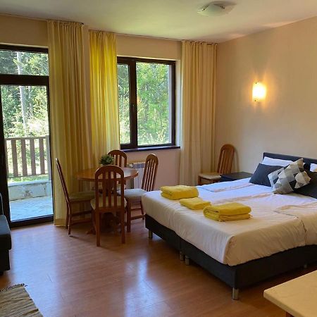 Flora Ski-Slope Studio Apartment Borovets Luaran gambar
