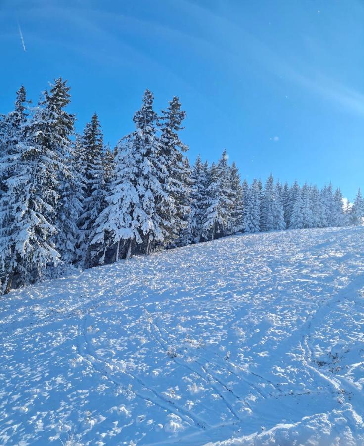 Flora Ski-Slope Studio Apartment Borovets Luaran gambar