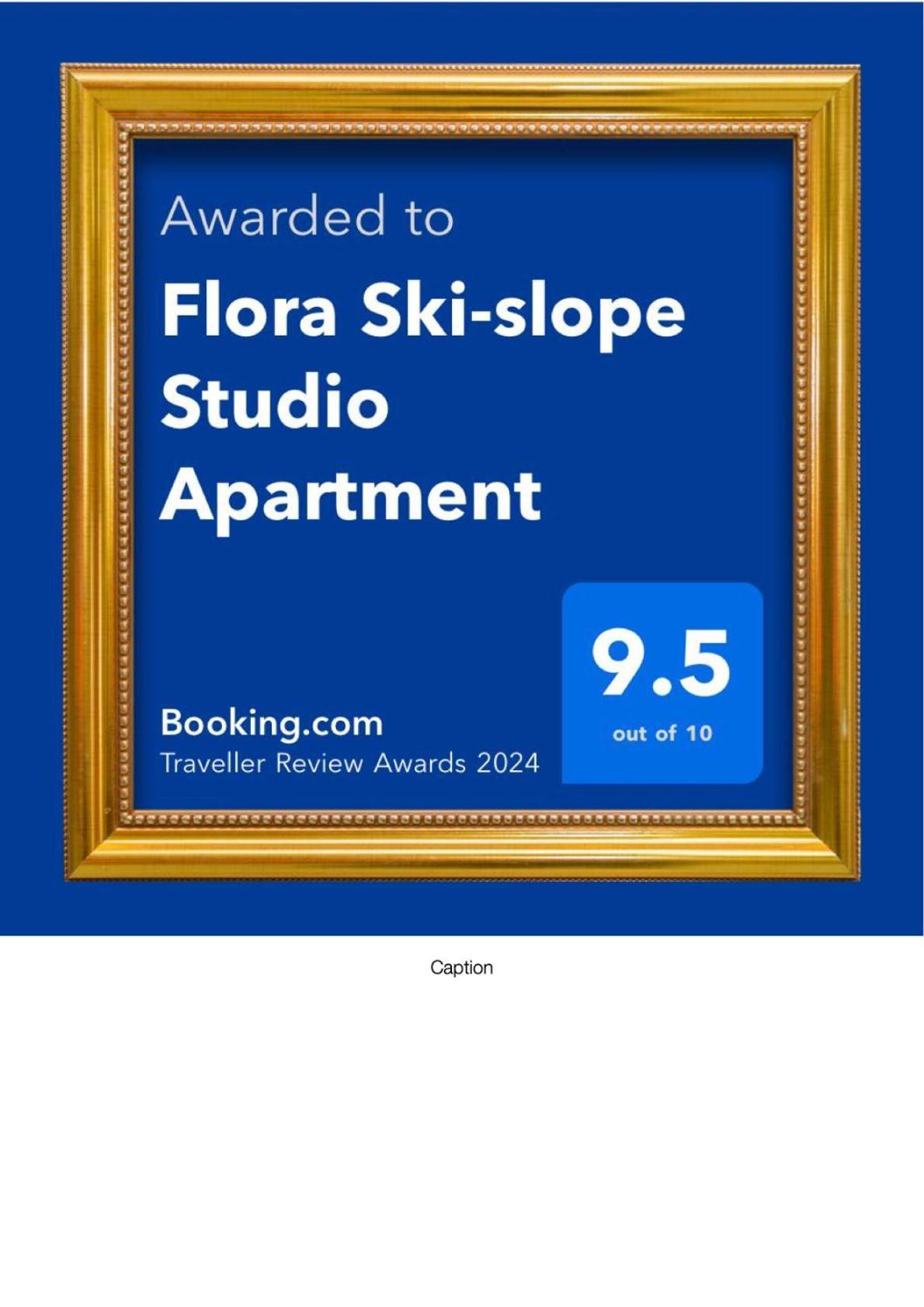 Flora Ski-Slope Studio Apartment Borovets Luaran gambar