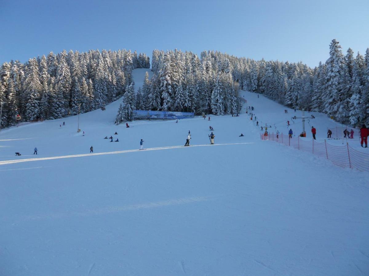 Flora Ski-Slope Studio Apartment Borovets Luaran gambar