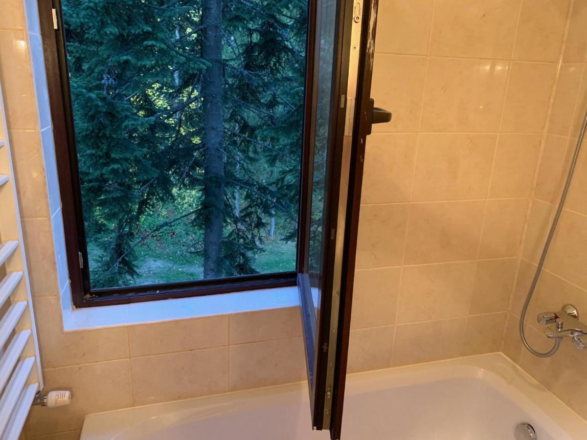 Flora Ski-Slope Studio Apartment Borovets Luaran gambar